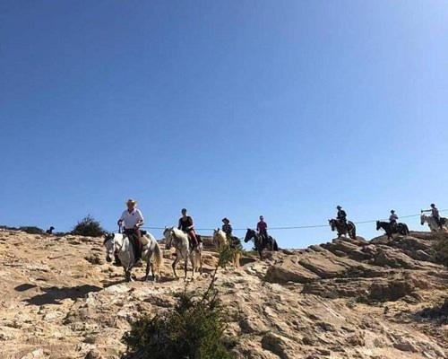 Happy Bedouin House Petra Bed & Breakfast Al Hayy ภายนอก รูปภาพ